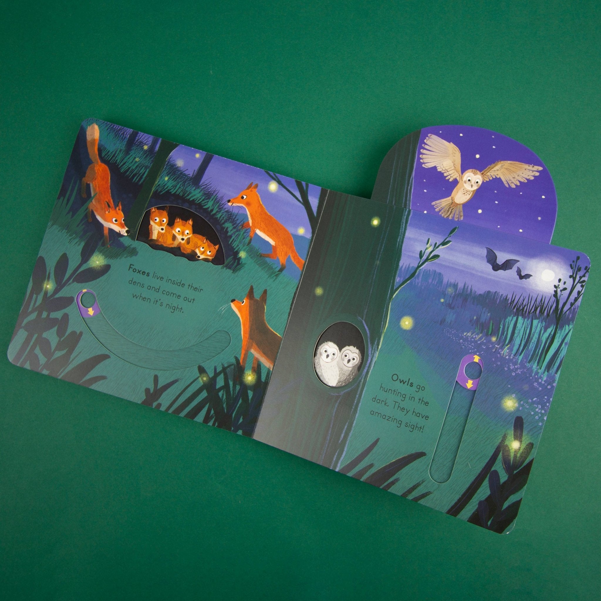 Children's book with fox and owl illustrations on a green background