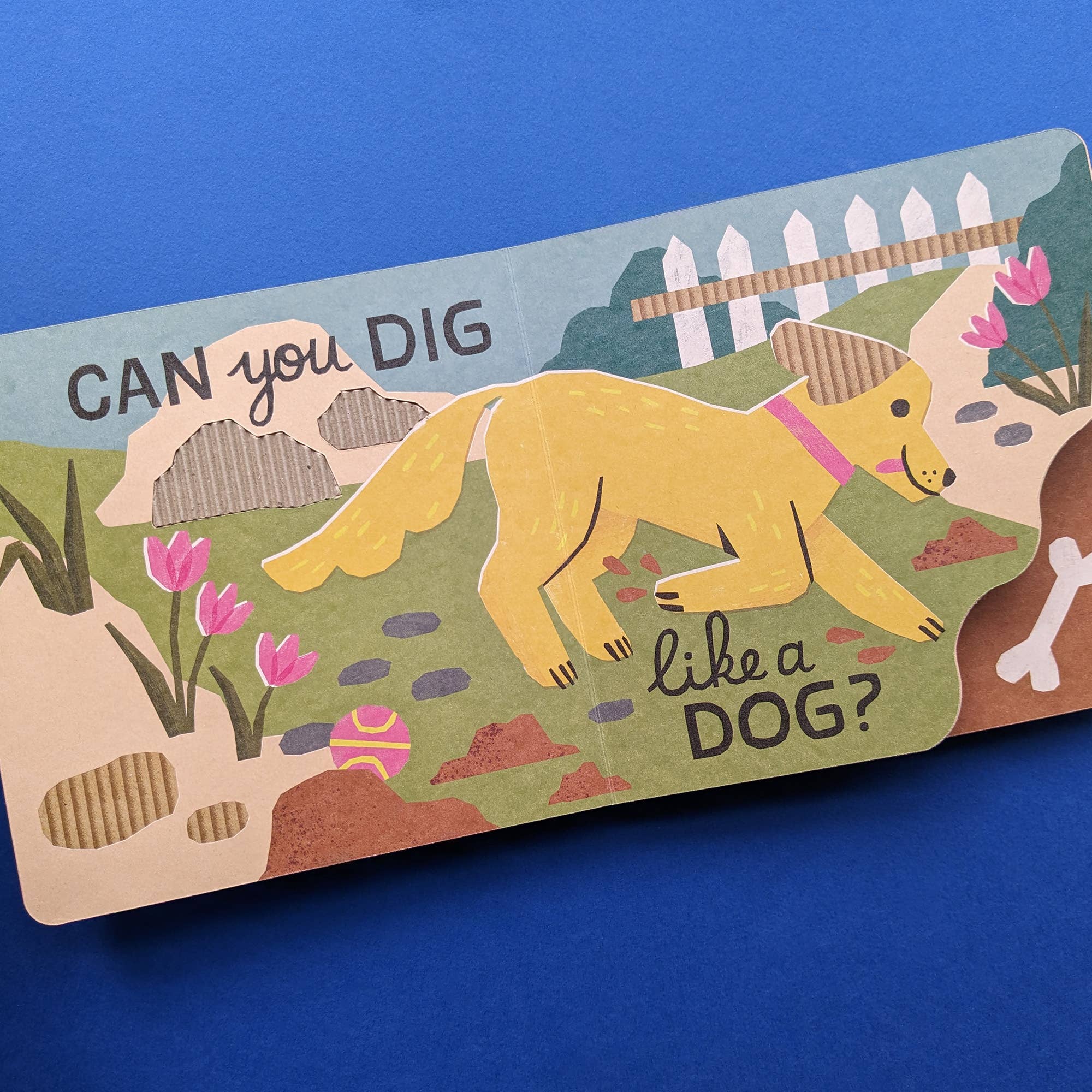 Can You Buzz Like a Bee? – Eco Cased Book - Haliburtons & Co.