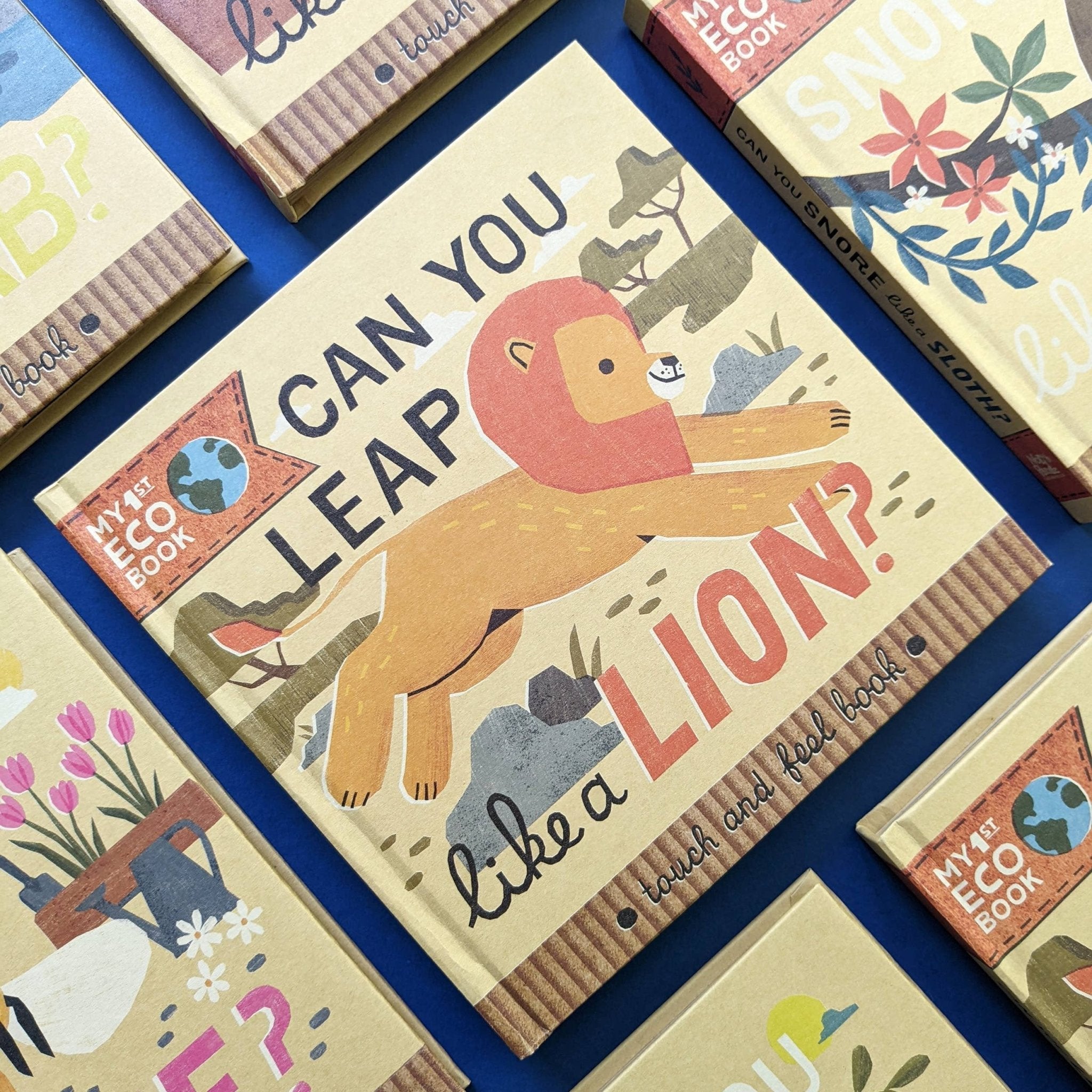 Can You Leap Like a Lion? - Eco Cased Book - Haliburtons & Co.