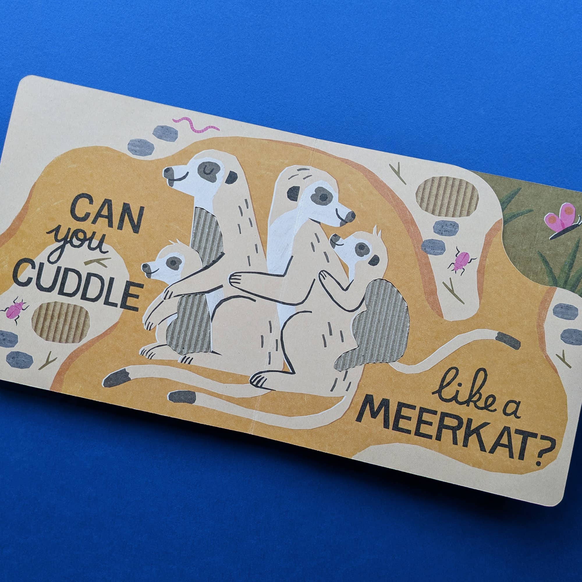 Can You Leap Like a Lion? - Eco Cased Book - Haliburtons & Co.