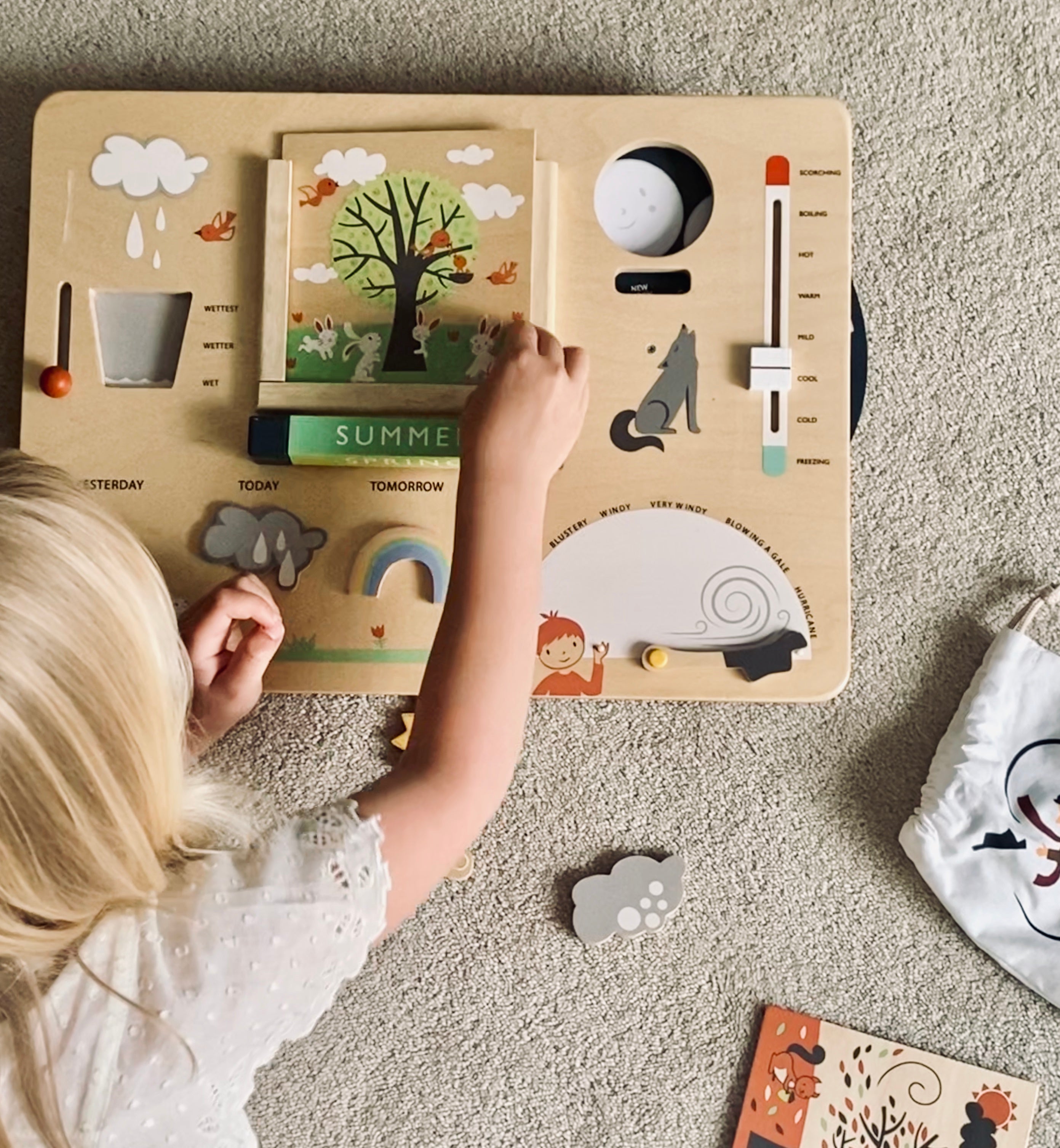 Educational Gifts - Haliburtons & Co.