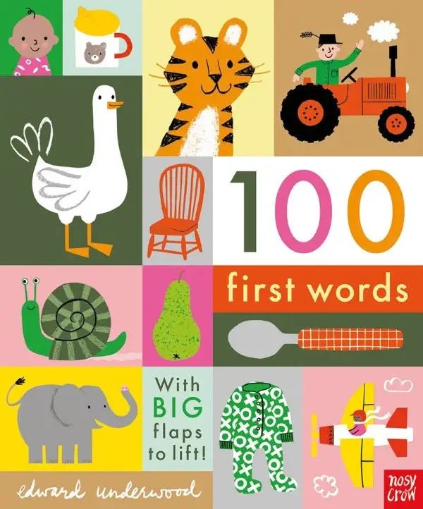 Children's book cover with illustrations and text '100 first words' by Nosy Crow.
