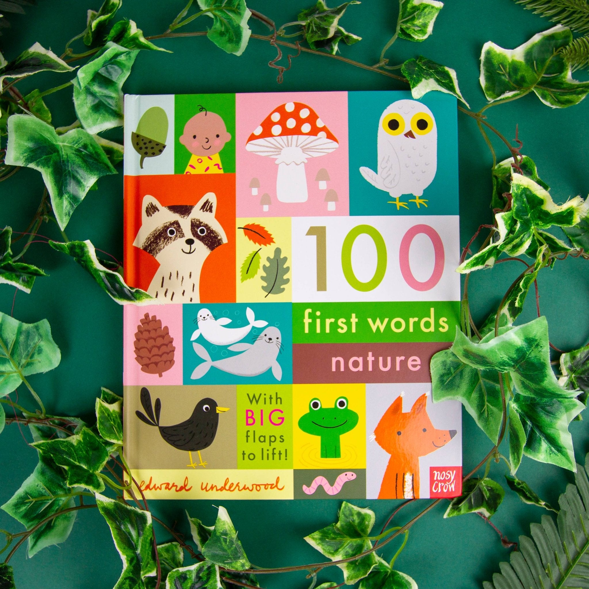 100 First Words: Nature - Haliburtons & Co.