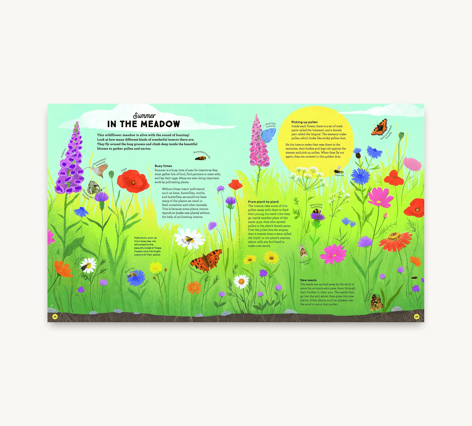 Educational poster about summer in the meadow with colorful flowers and insects.