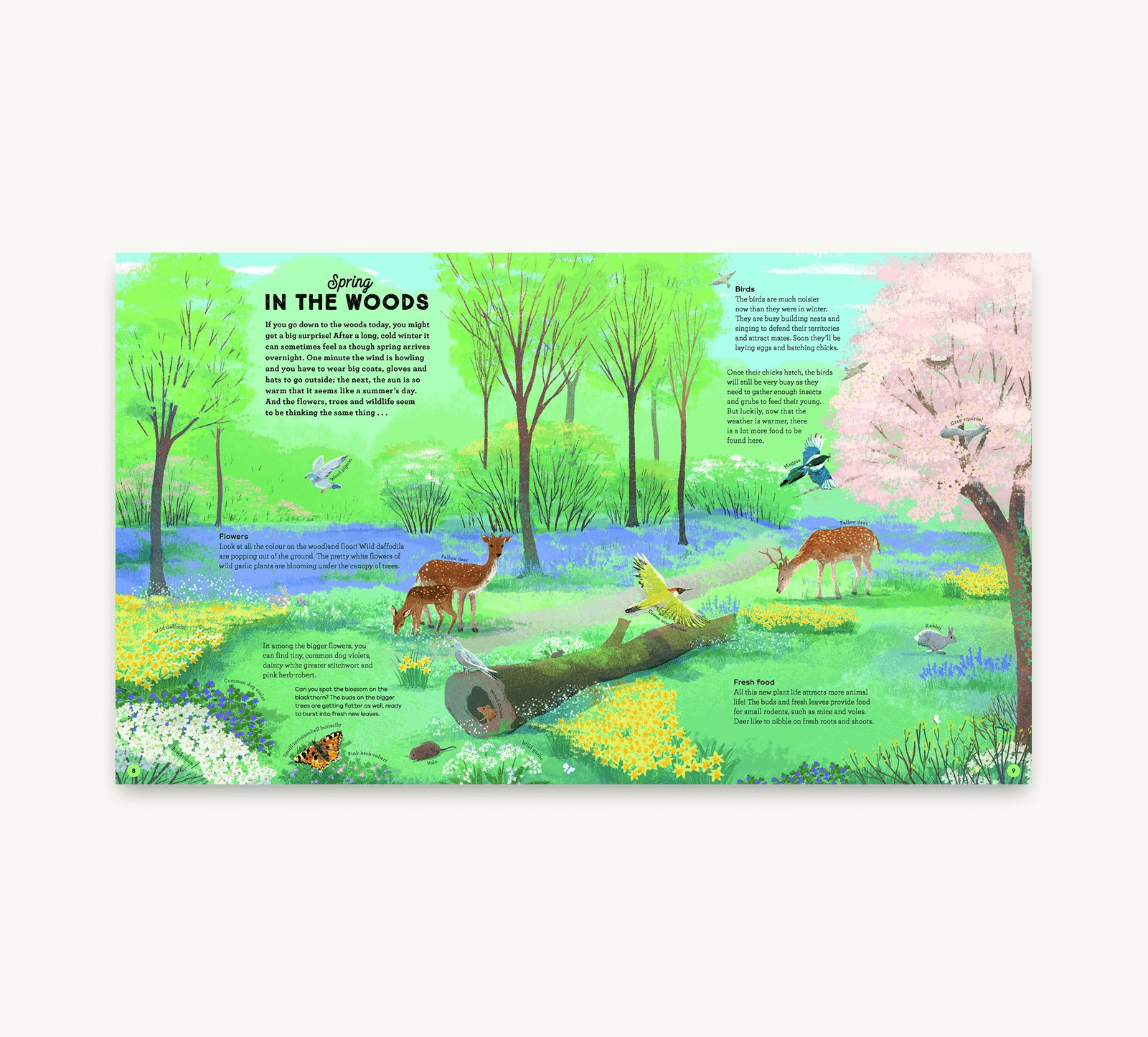 Illustration of a spring scene in the woods with animals and nature elements.