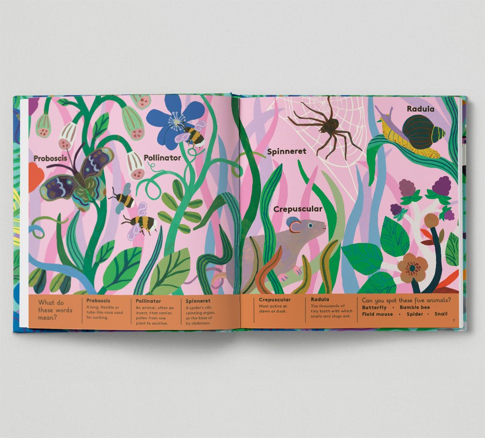Illustrated book open to a page with colorful illustrations of insects and plants on a light gray background.