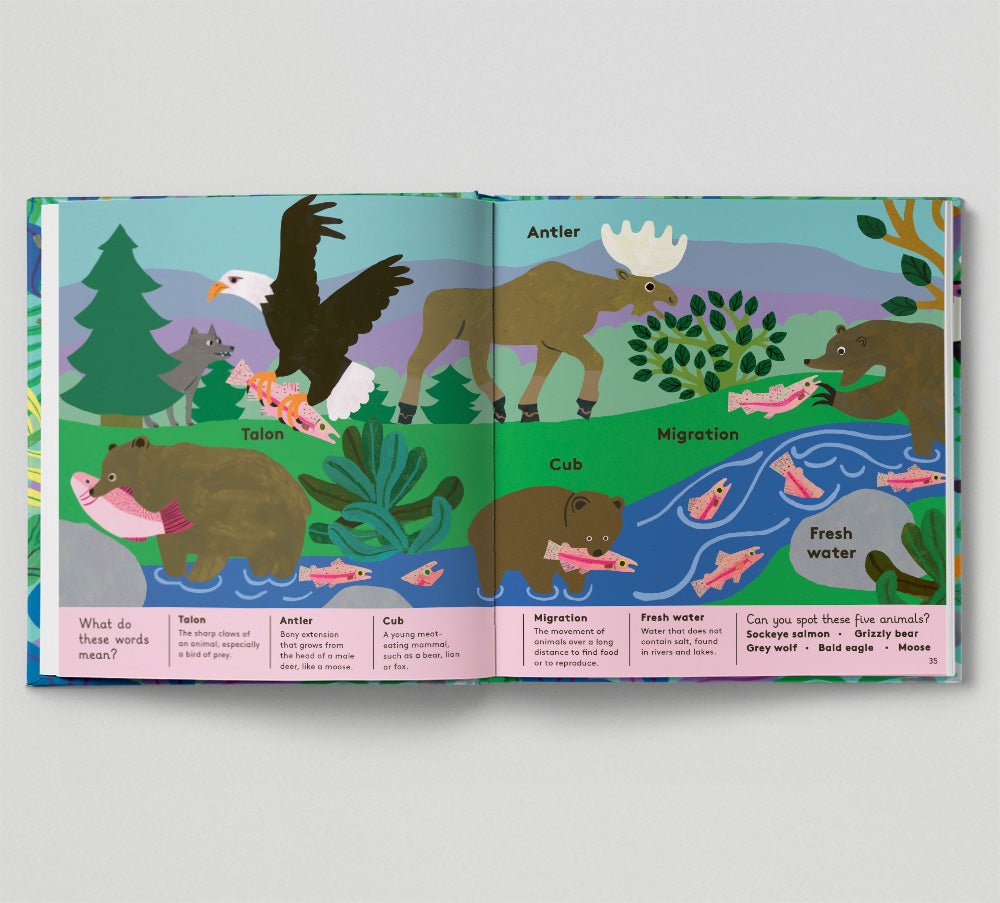 Open book showing illustrations of animals and their characteristics on a white background