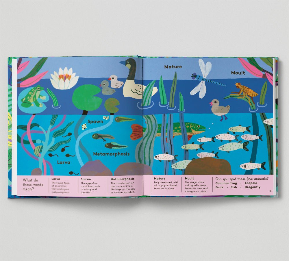 Open book showing a colorful illustration of a pond ecosystem with various aquatic animals and plants.