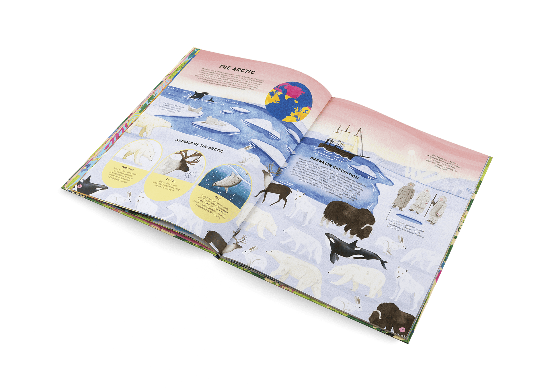 Animals Everywhere: Animal Habitats Around the World - Haliburtons & Co.