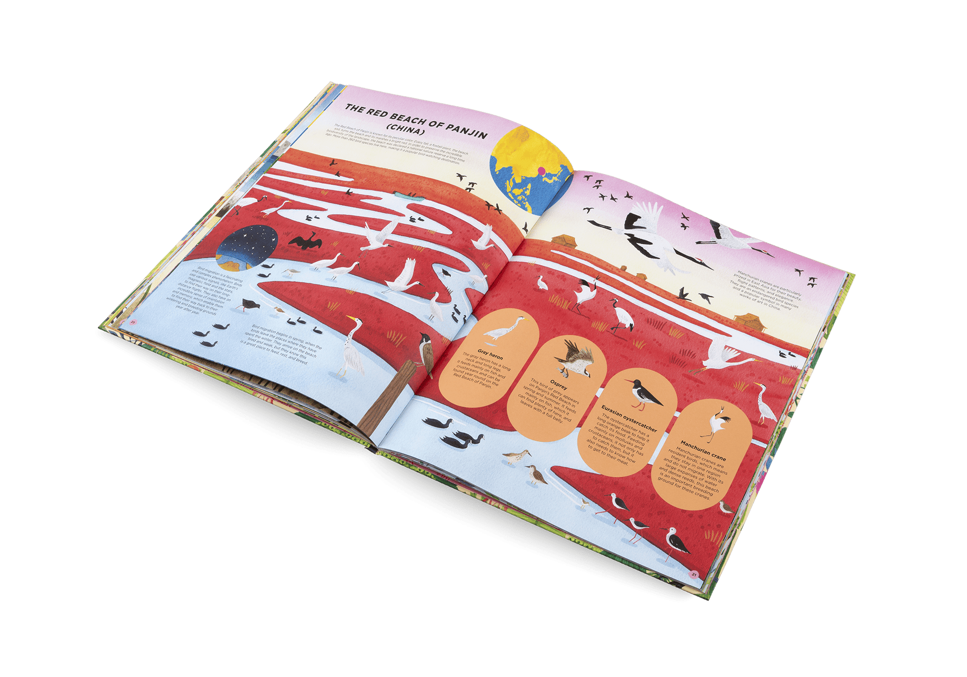 Animals Everywhere: Animal Habitats Around the World - Haliburtons & Co.