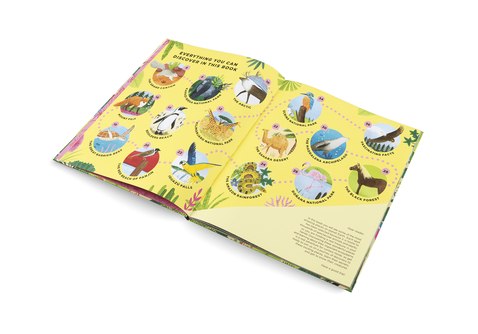 Animals Everywhere: Animal Habitats Around the World - Haliburtons & Co.