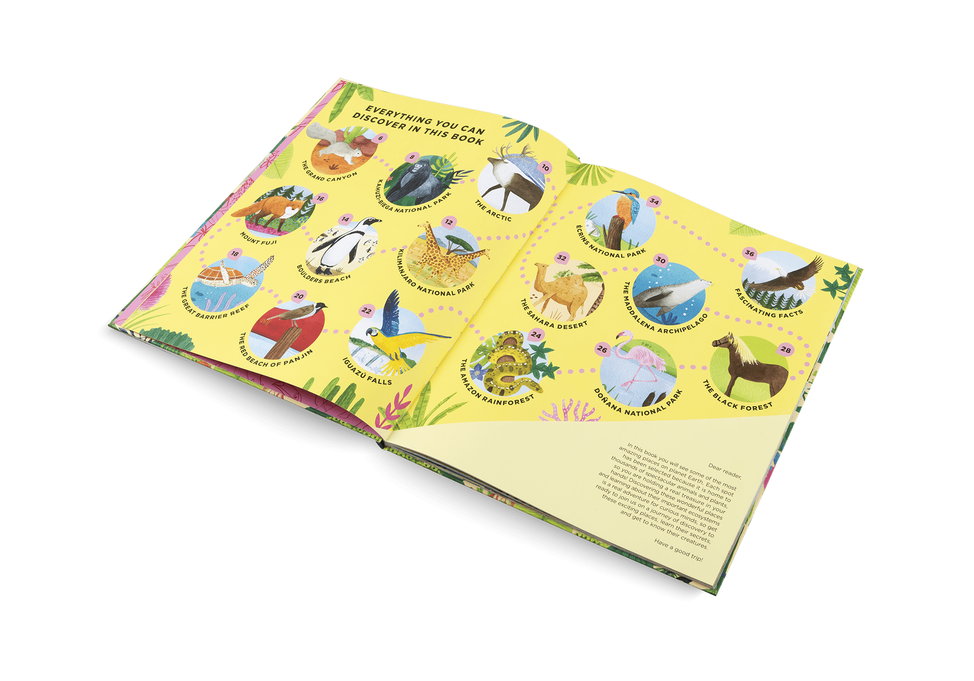 Animals Everywhere: Animal Habitats Around the World - Haliburtons & Co.