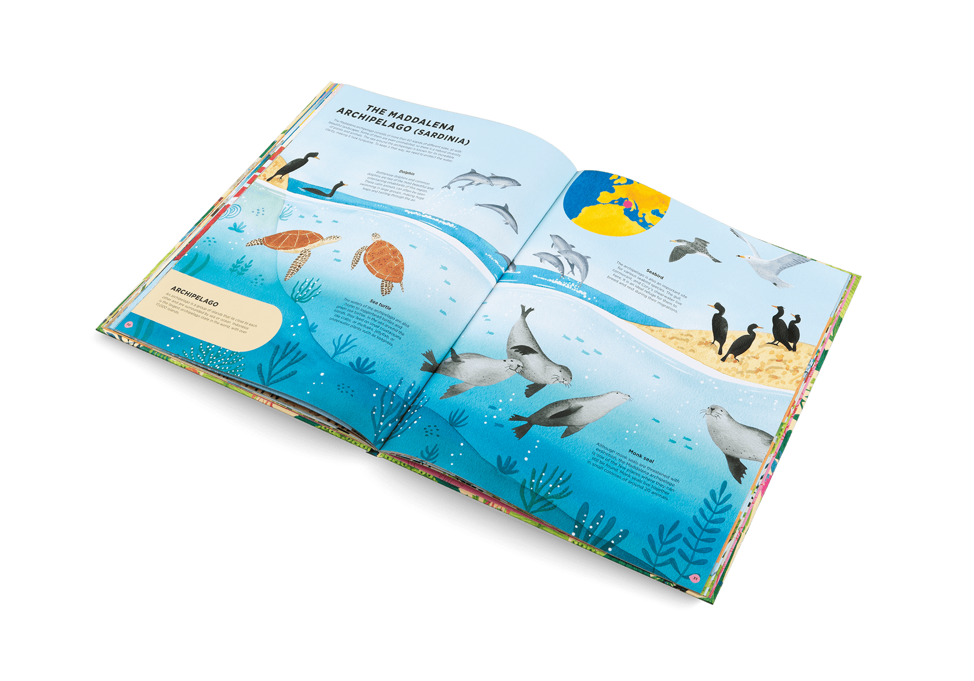 Animals Everywhere: Animal Habitats Around the World - Haliburtons & Co.