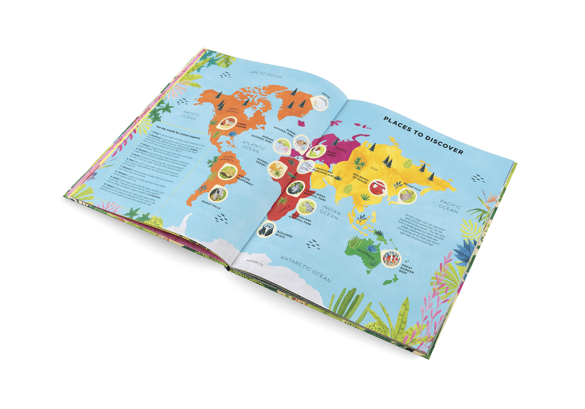 Animals Everywhere: Animal Habitats Around the World - Haliburtons & Co.