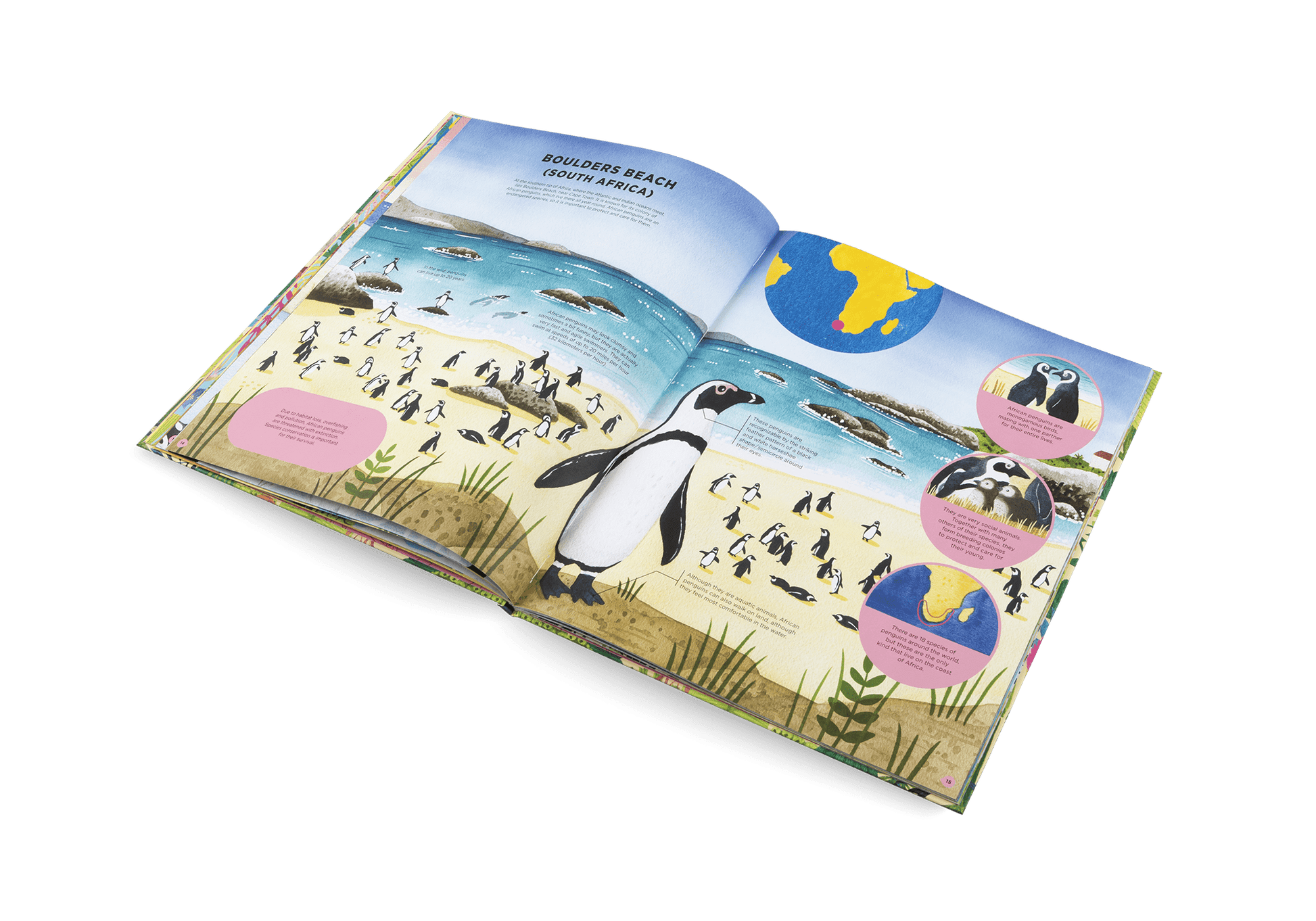Animals Everywhere: Animal Habitats Around the World - Haliburtons & Co.
