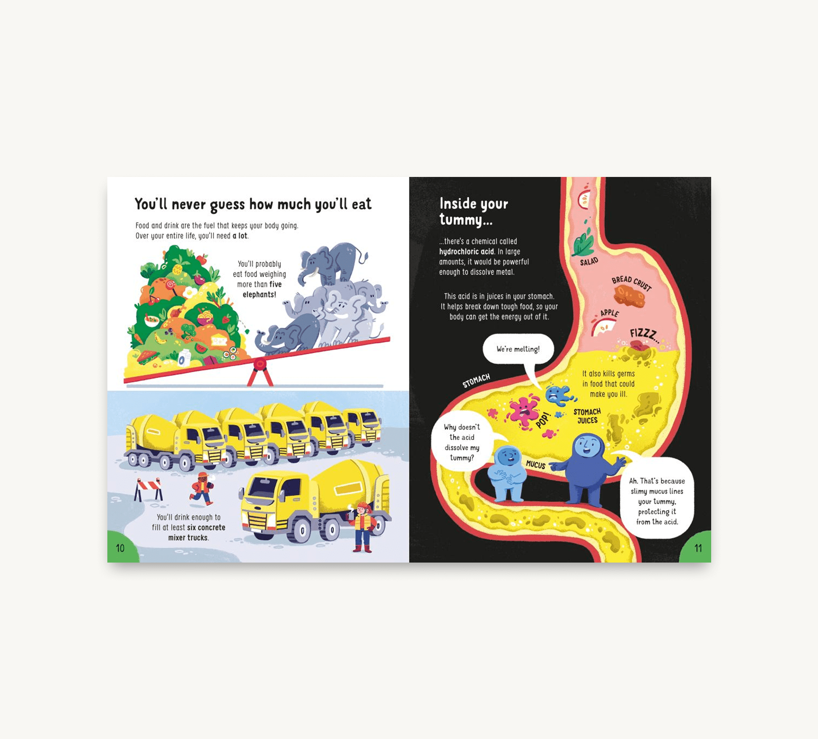 Educational children's book pages about digestion with colorful illustrations.