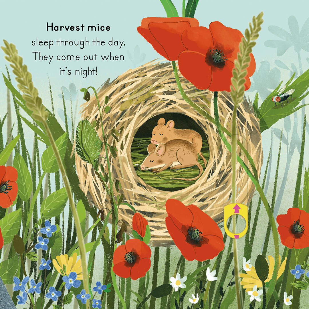 Big Outdoors For Little Explorers: Countryside - Haliburtons & Co.