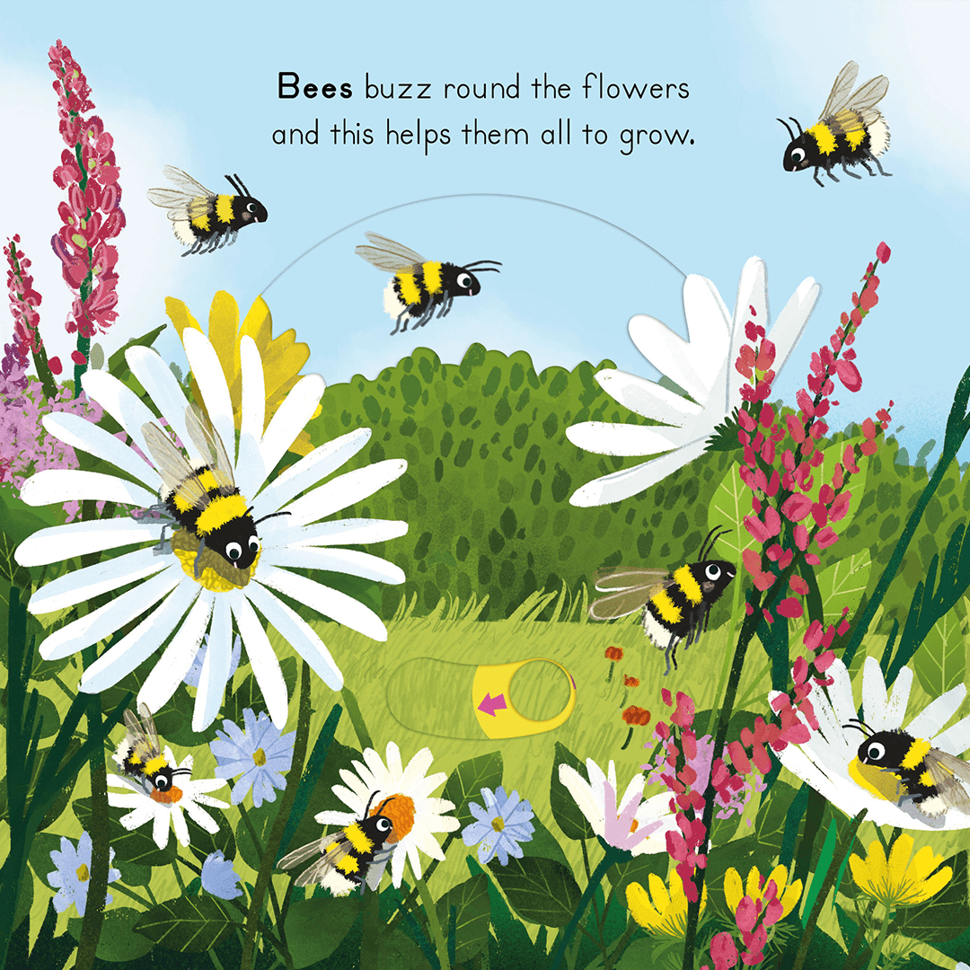 Big Outdoors For Little Explorers: Countryside - Haliburtons & Co.