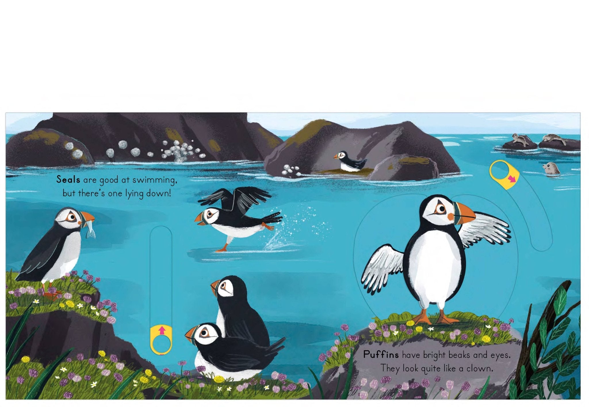 Illustration of penguins and seals in a natural setting with text describing their characteristics.