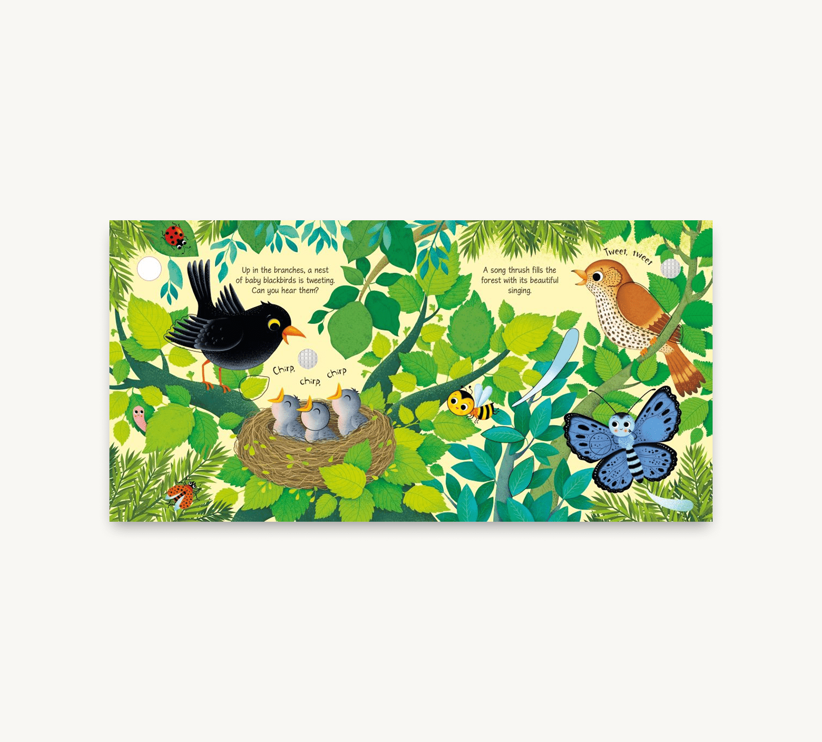 Children's book page with illustrations of birds, eggs, and a butterfly in a forest setting.