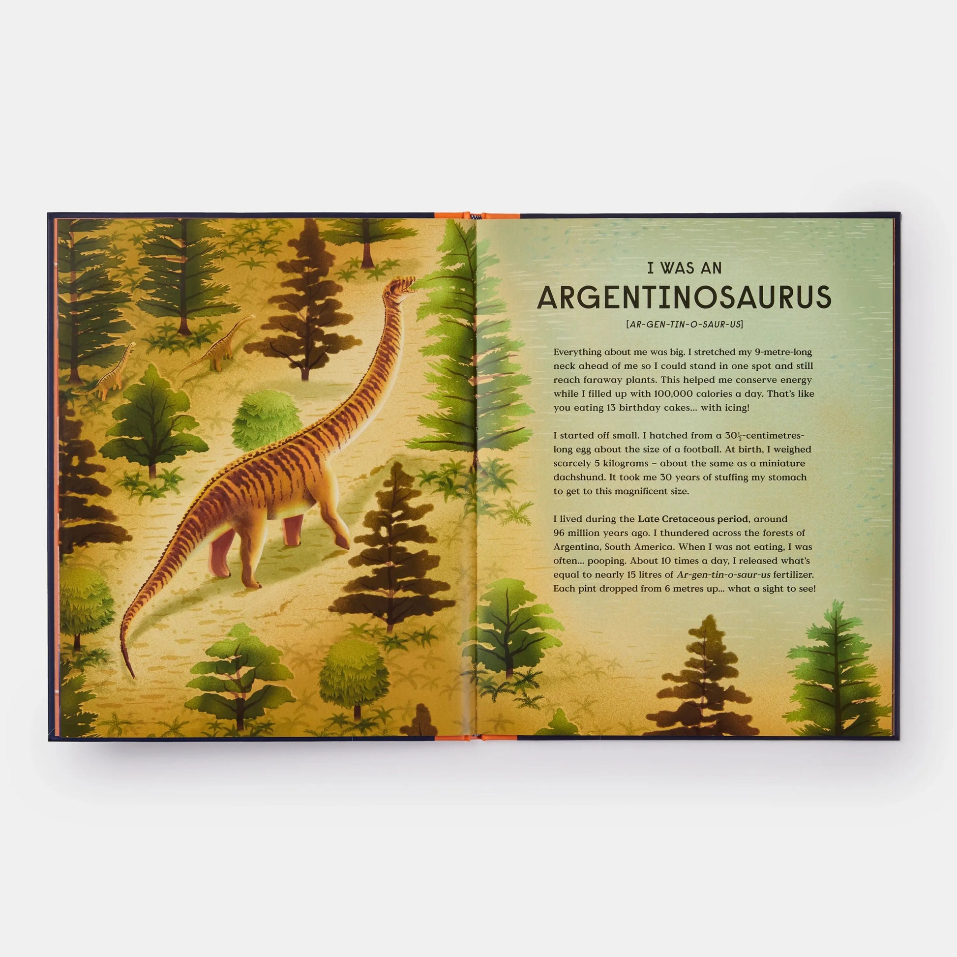 Book of Dinosaurs - Haliburtons & Co.