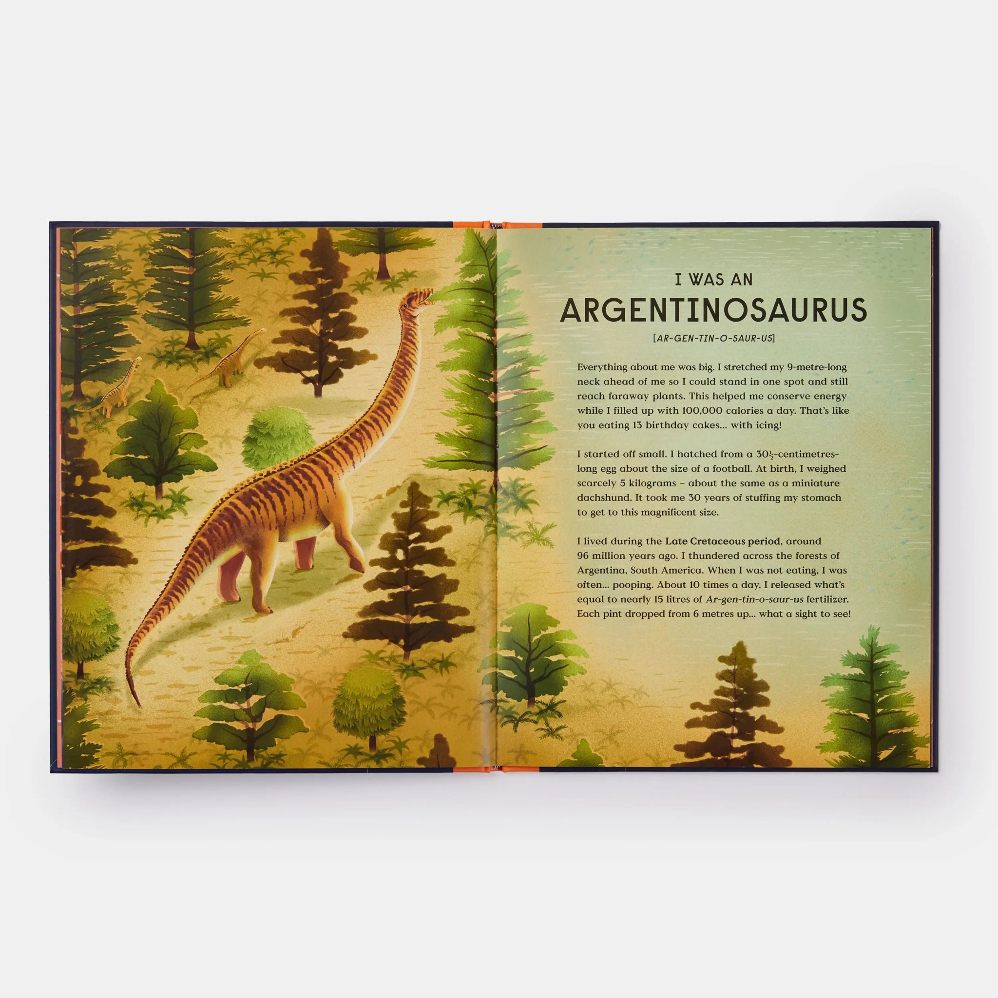 Book of Dinosaurs - Haliburtons & Co.