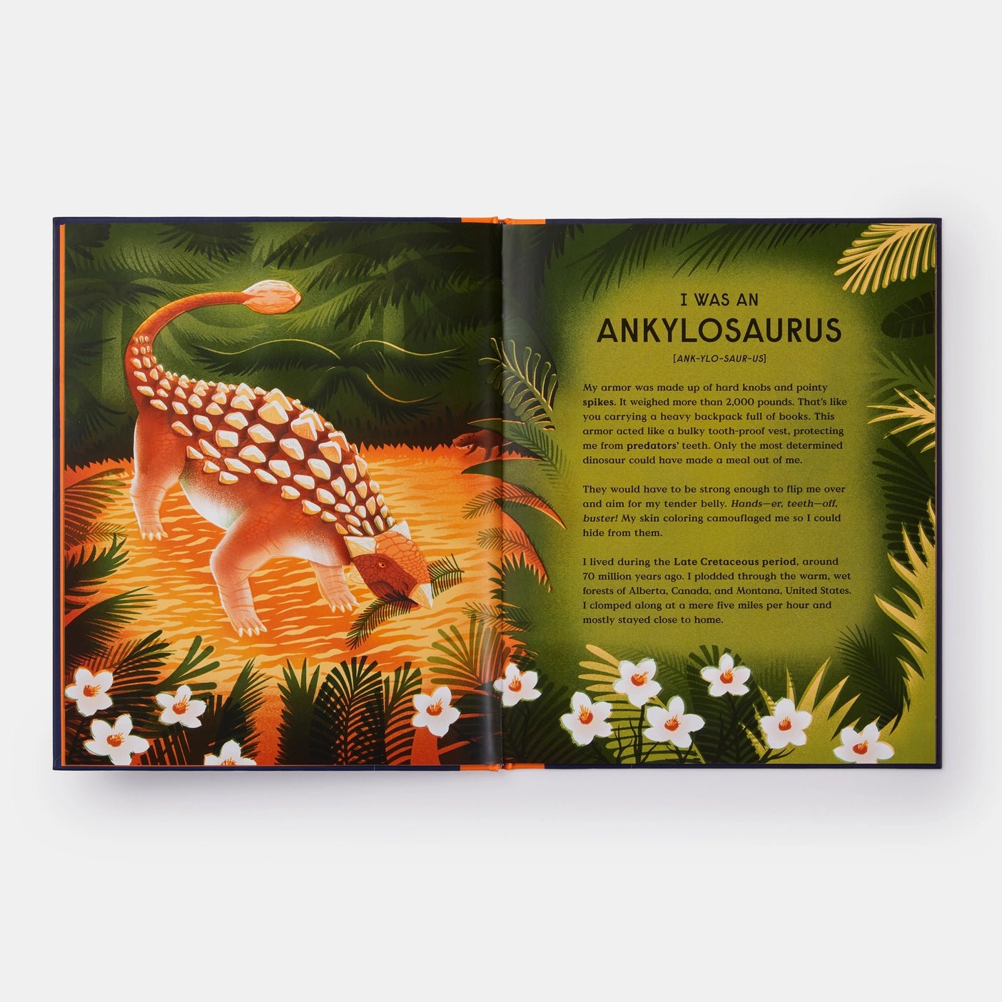 Book of Dinosaurs - Haliburtons & Co.