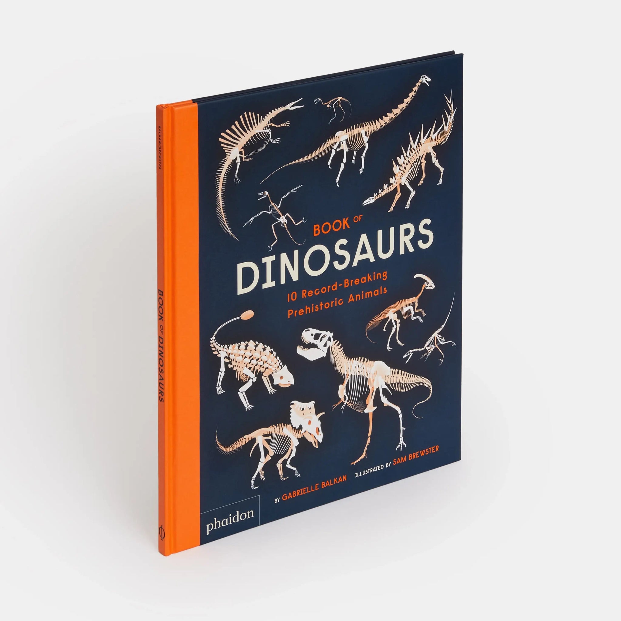 Book of Dinosaurs - Haliburtons & Co.