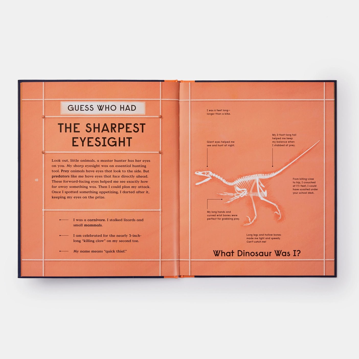 Book of Dinosaurs - Haliburtons & Co.