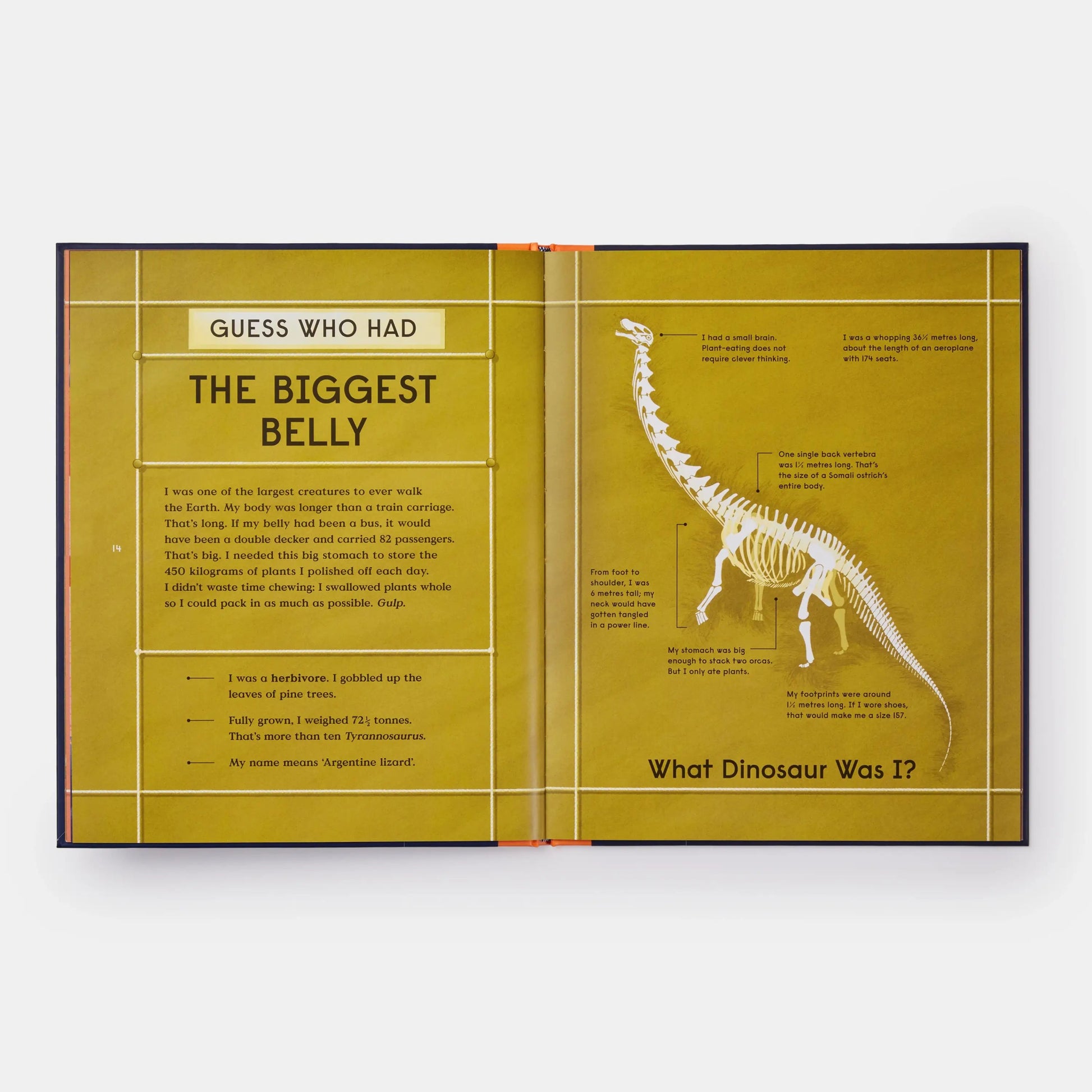 Book of Dinosaurs - Haliburtons & Co.