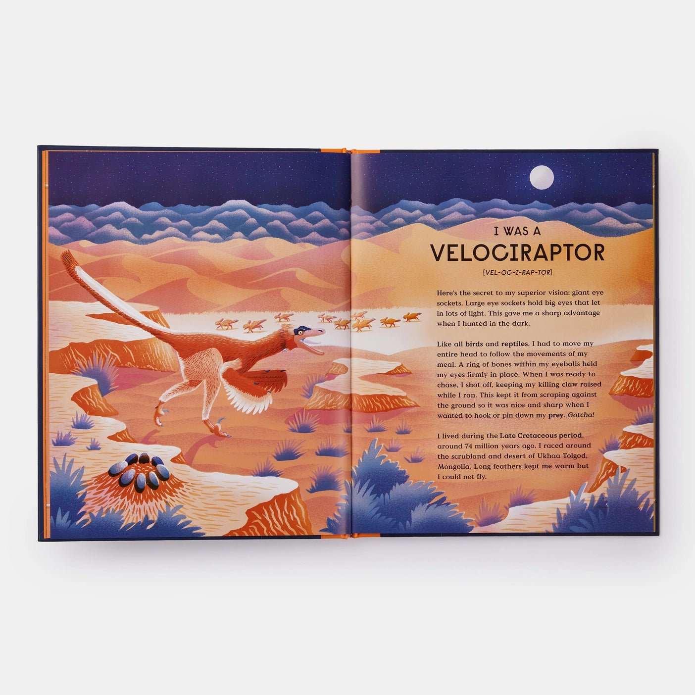 Book of Dinosaurs - Haliburtons & Co.
