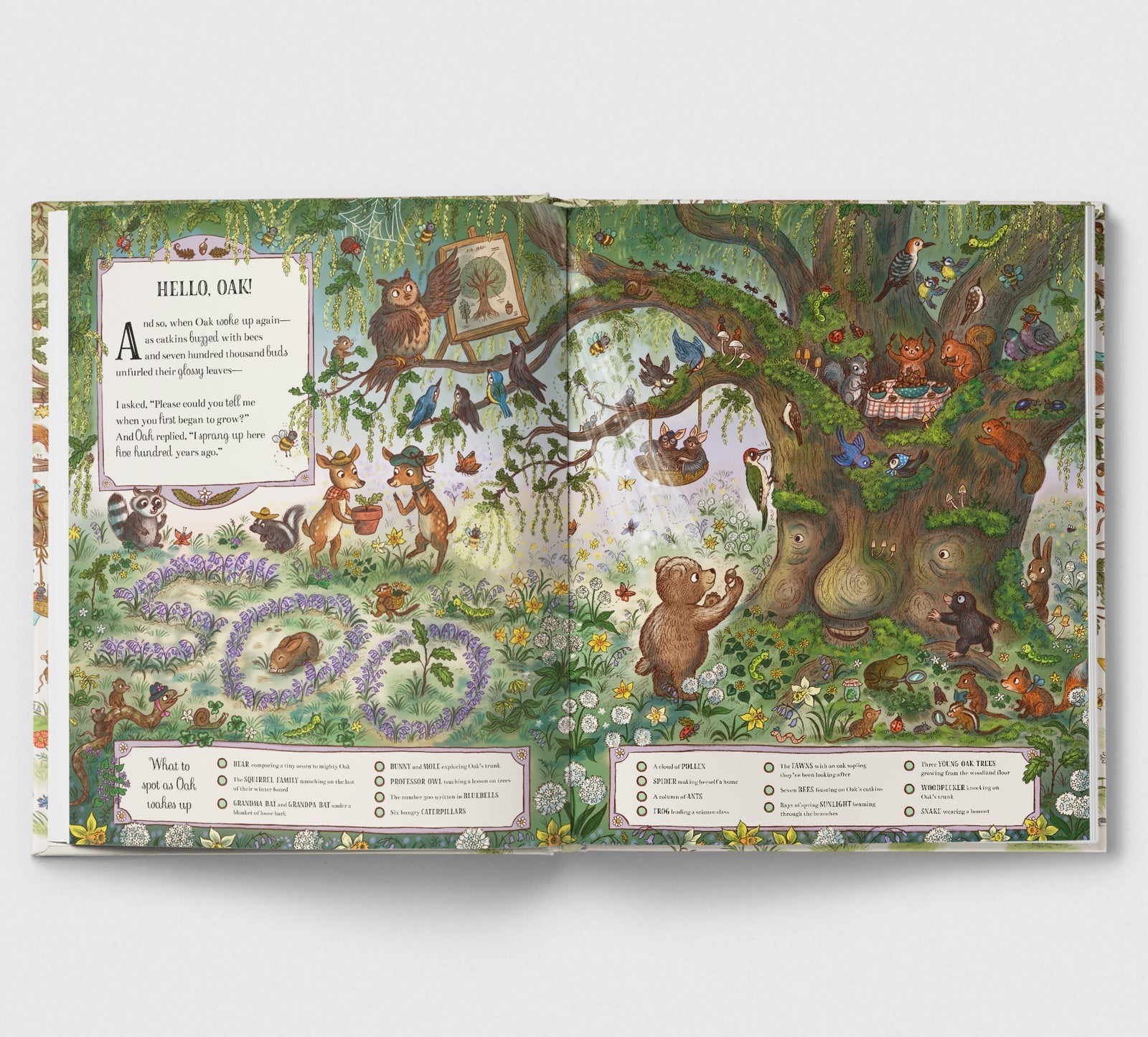 Brown Bear Wood: Grand Old Oak and the Birthday Ball - Haliburtons & Co.