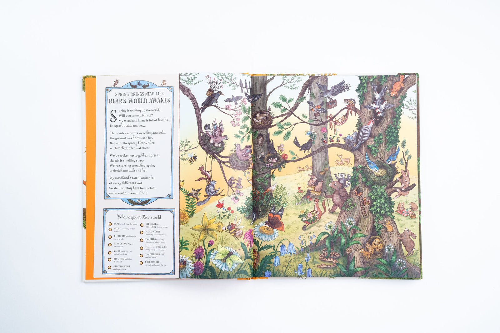 Open book with colorful illustrations of animals in a forest on a white background