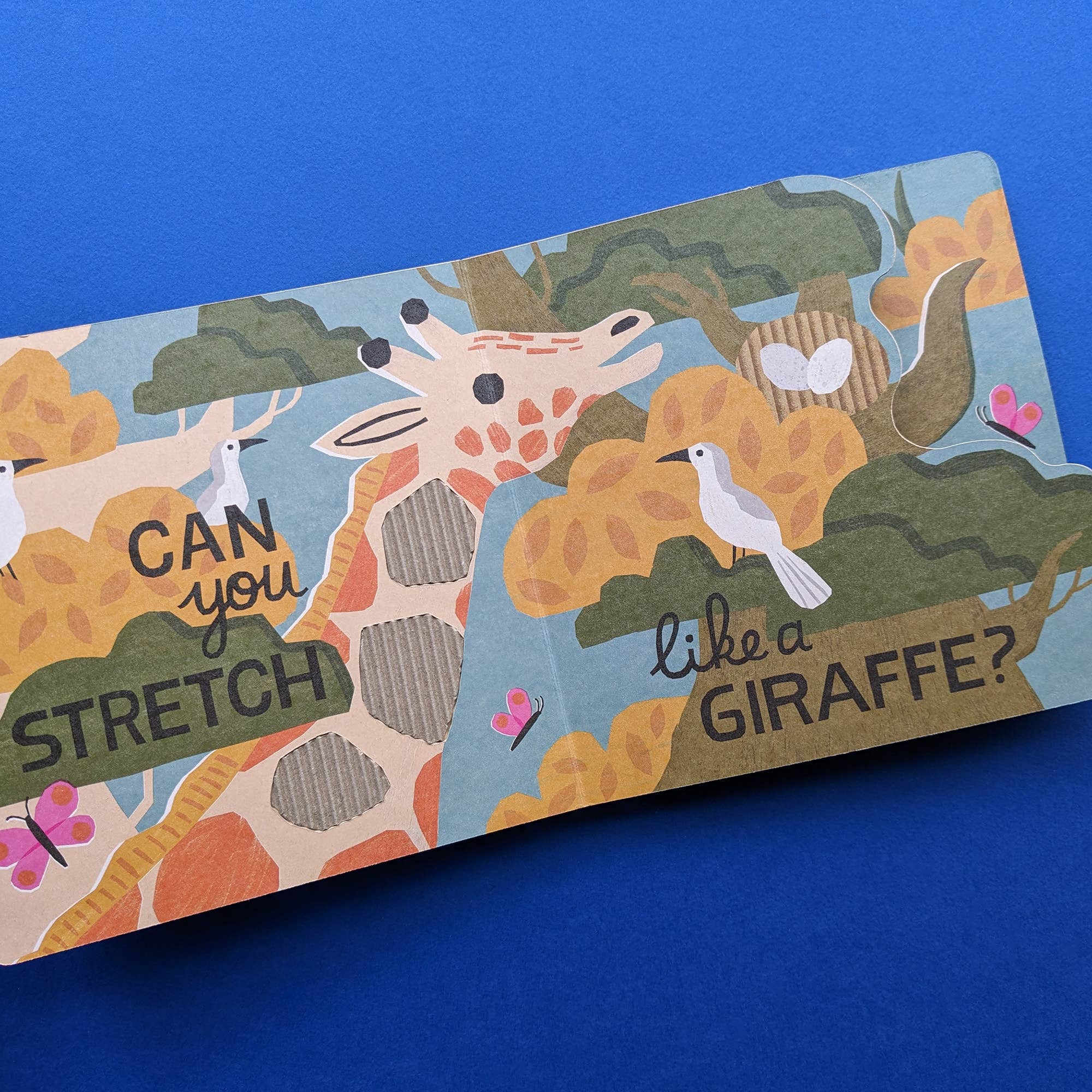 Can You Leap Like a Lion? - Eco Cased Book - Haliburtons & Co.