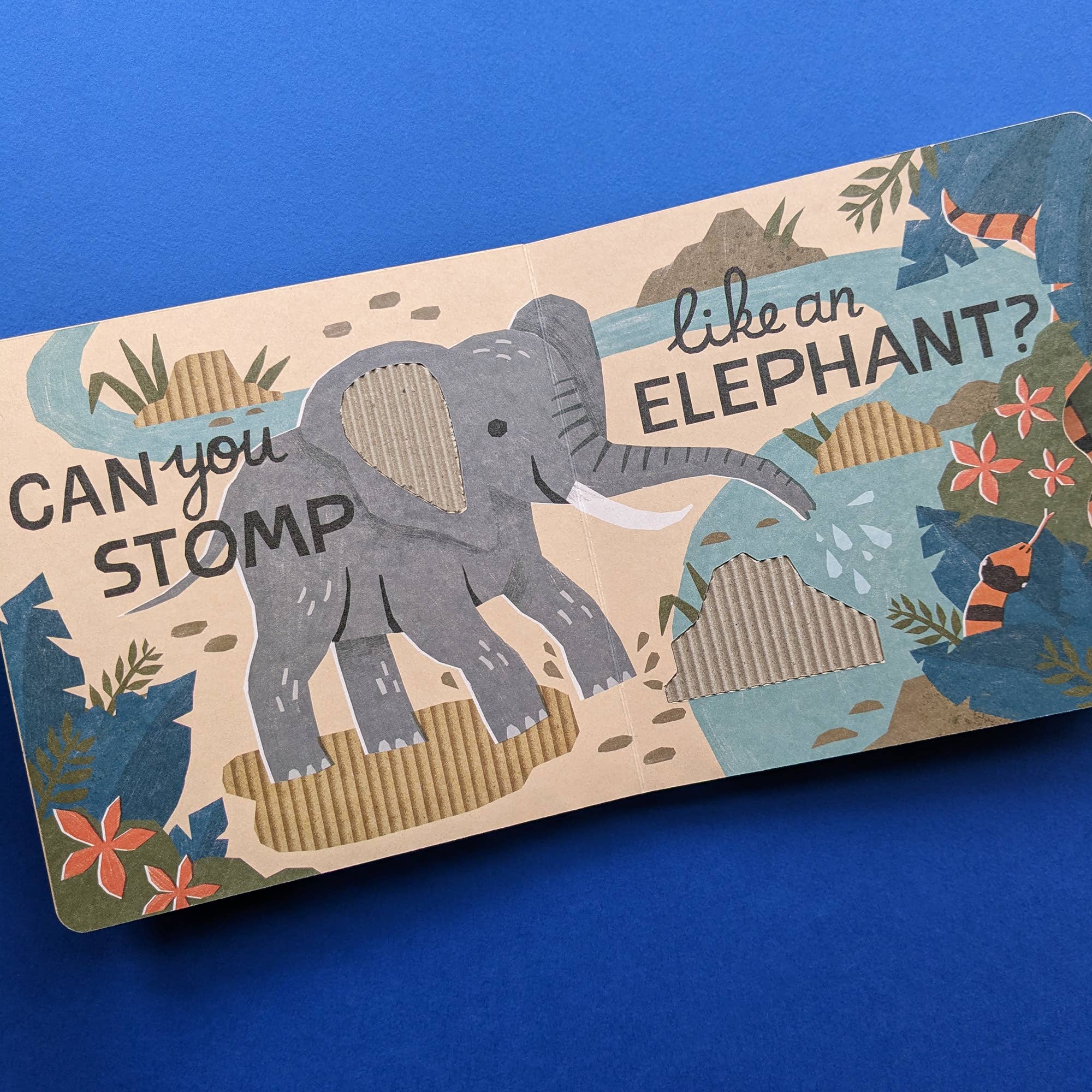 Can You Snore Like a Sloth? - Eco Cased Book - Haliburtons & Co.