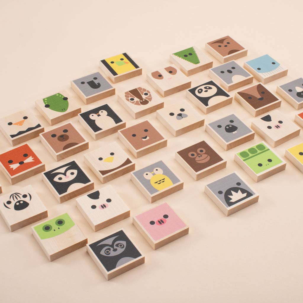 Cubelings Memory Game - Haliburtons & Co.