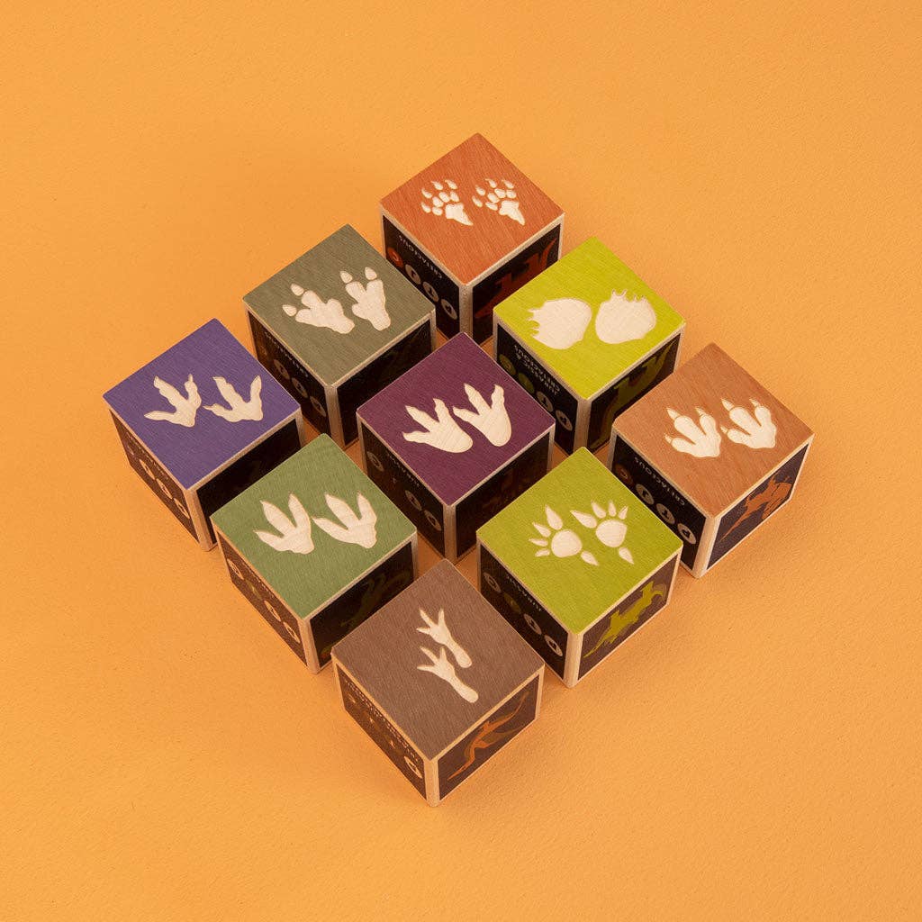 Dinosaur Blocks - Haliburtons & Co.