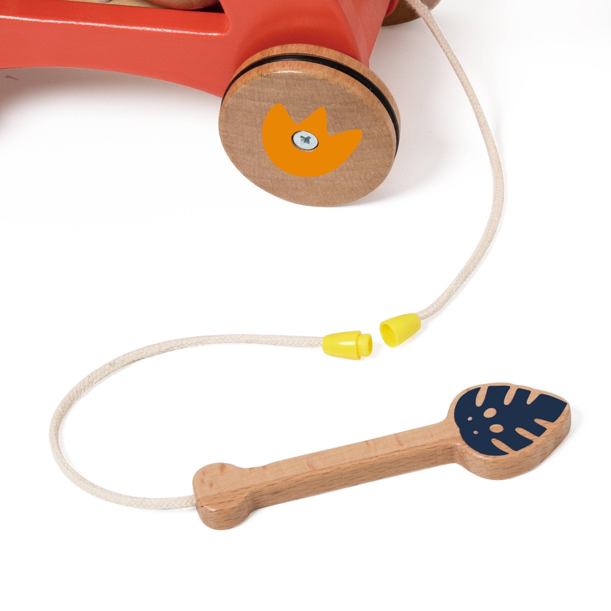 Dinosaur Xylophone by Classic World - Haliburtons & Co.