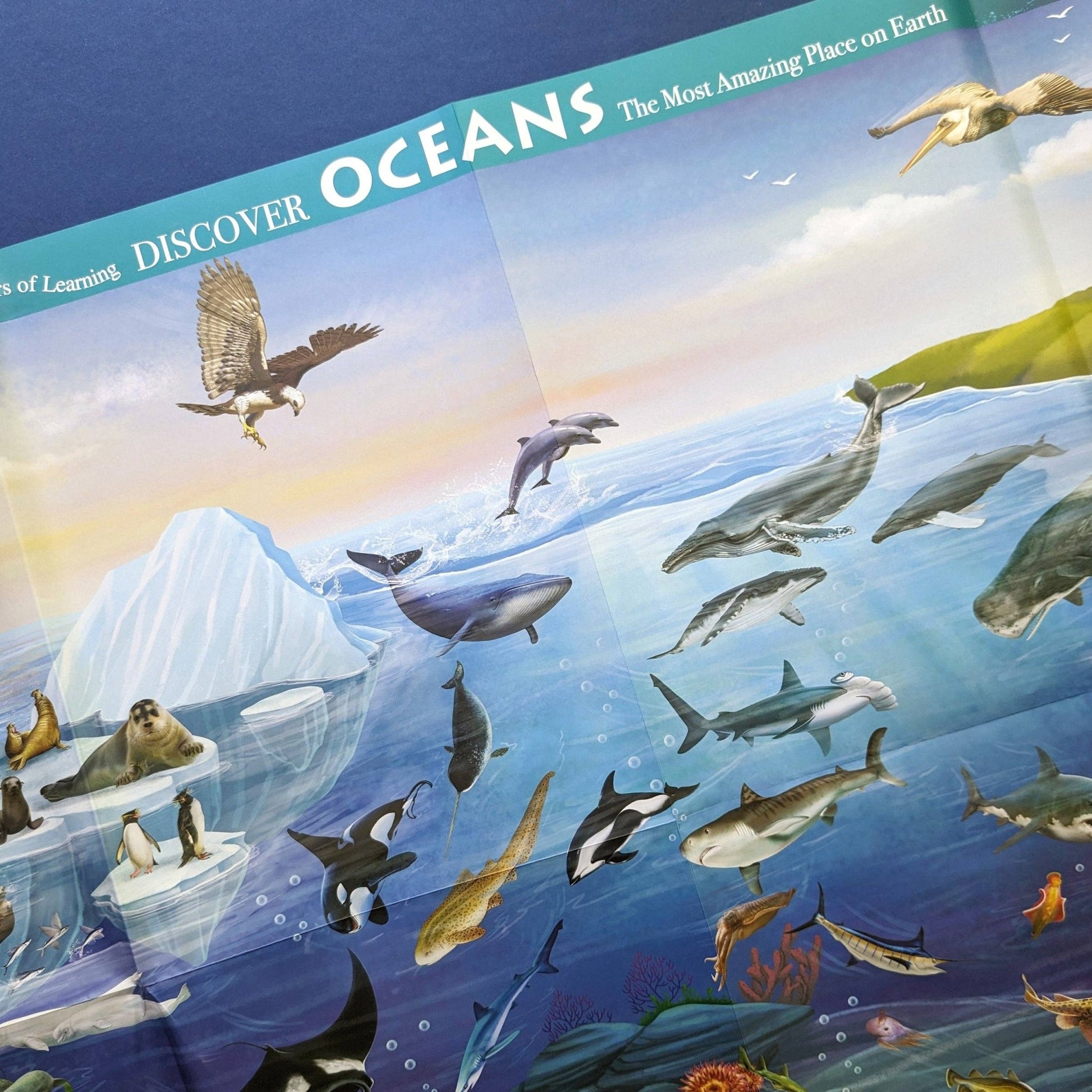 Illustration of ocean life with animals like dolphins, whales, and penguins, set against a blue background.