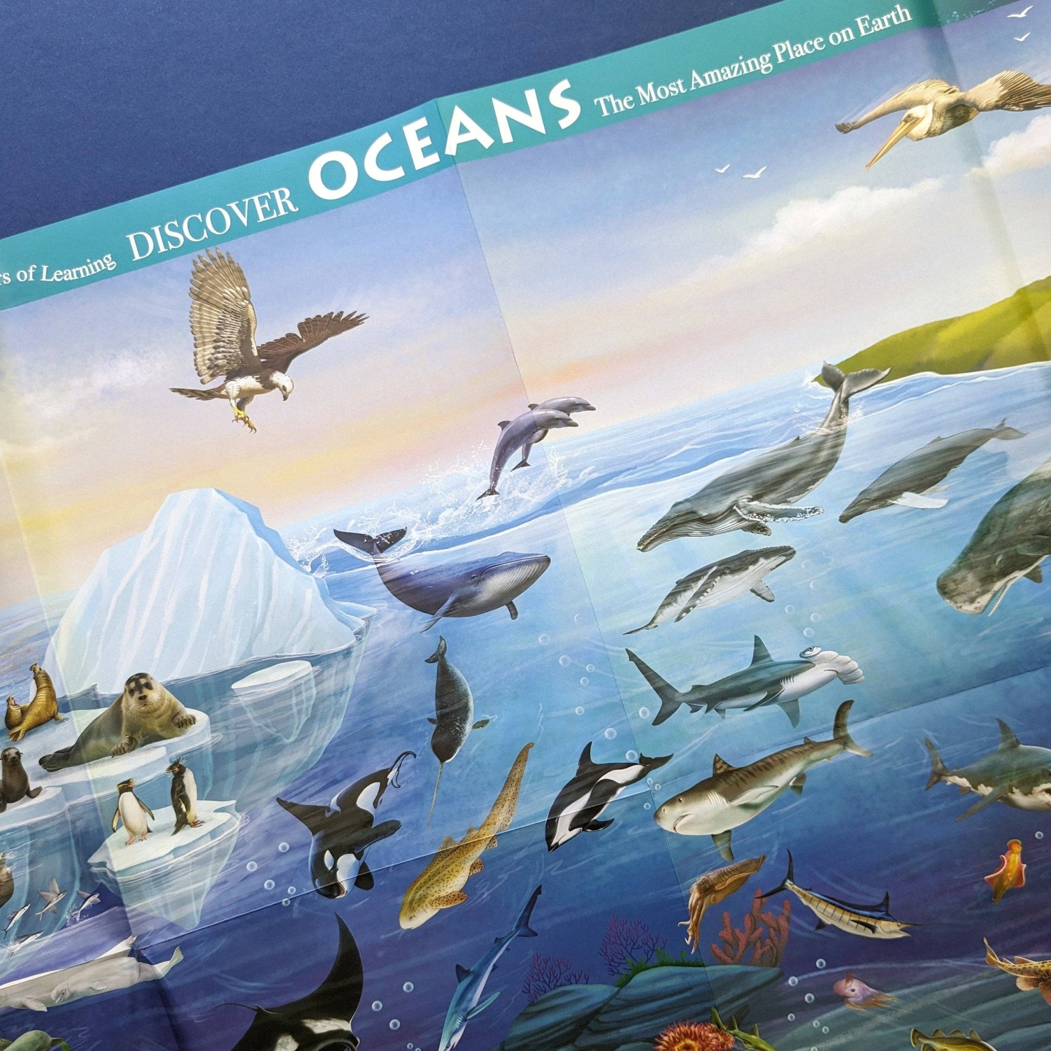 Illustration of ocean life with animals like dolphins, whales, and penguins, set against a blue background.