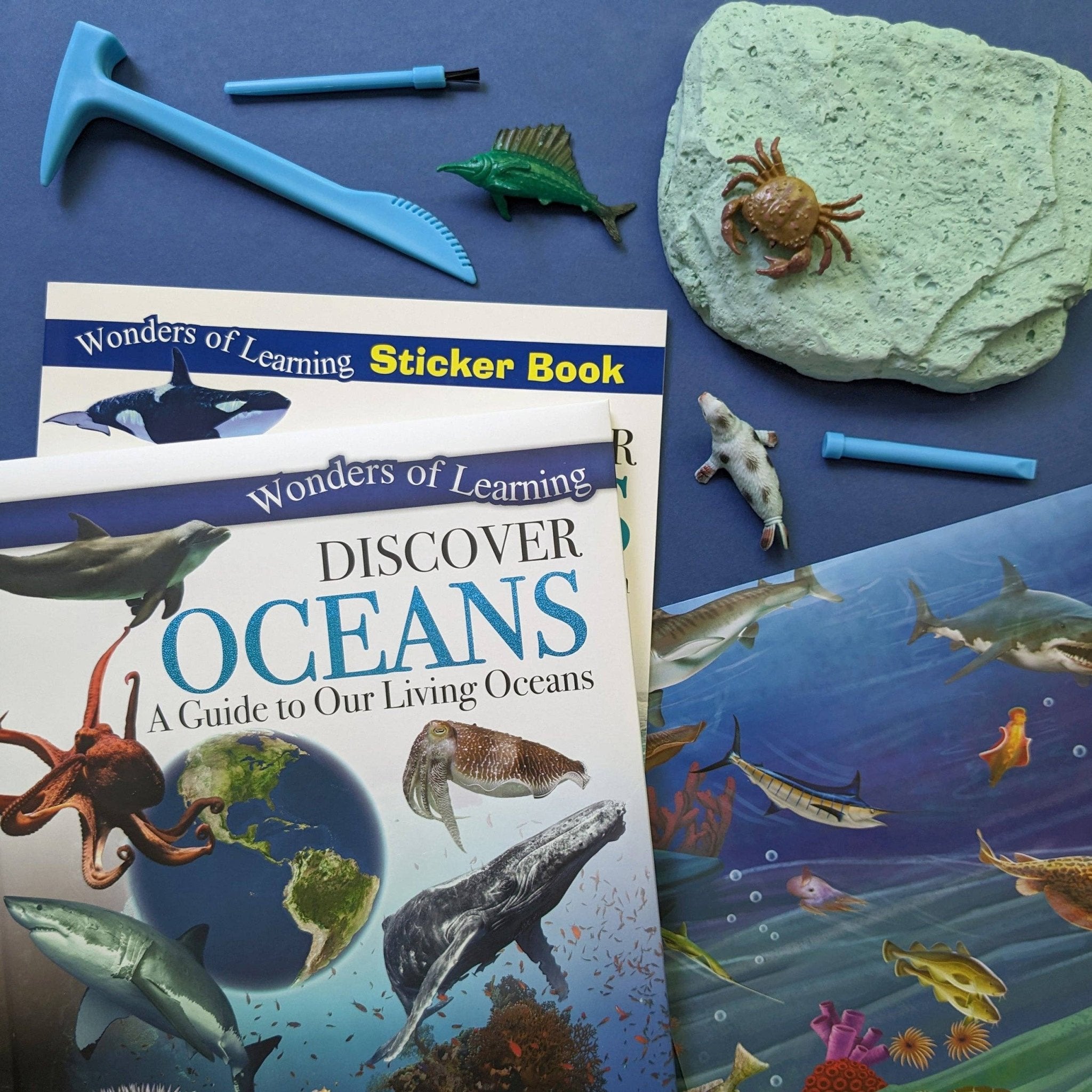 Educational materials including books and toys on a blue background