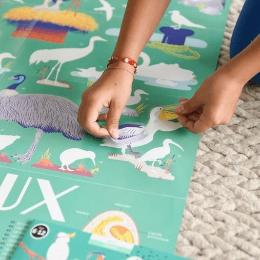 Discovery Sticker Poster: Birds - Haliburtons & Co.