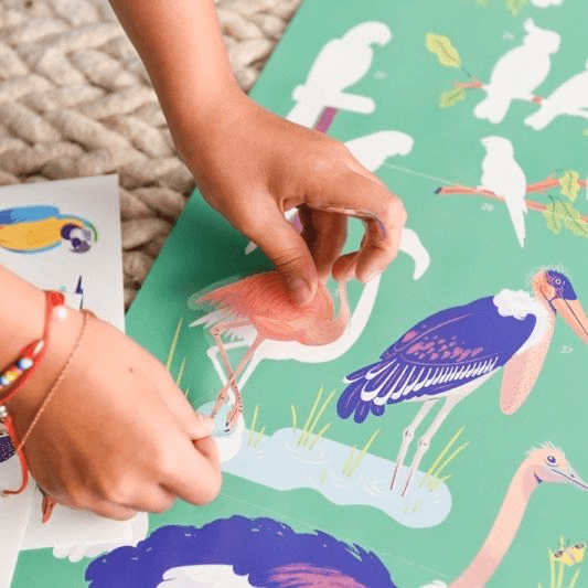 Discovery Sticker Poster: Birds - Haliburtons & Co.