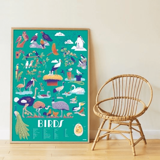 Discovery Sticker Poster: Birds - Haliburtons & Co.