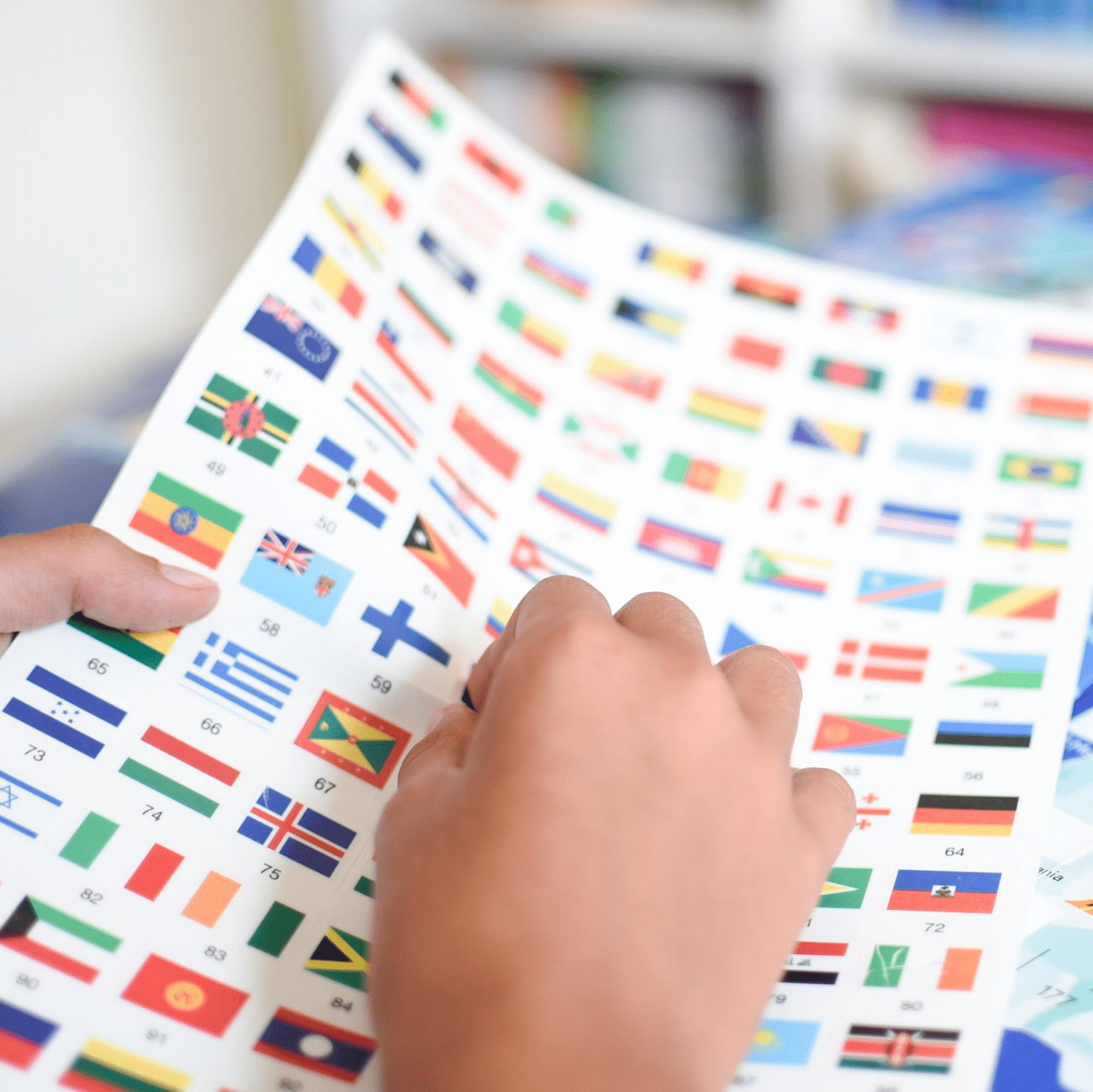 Discovery Sticker Poster: Flags - Haliburtons & Co.