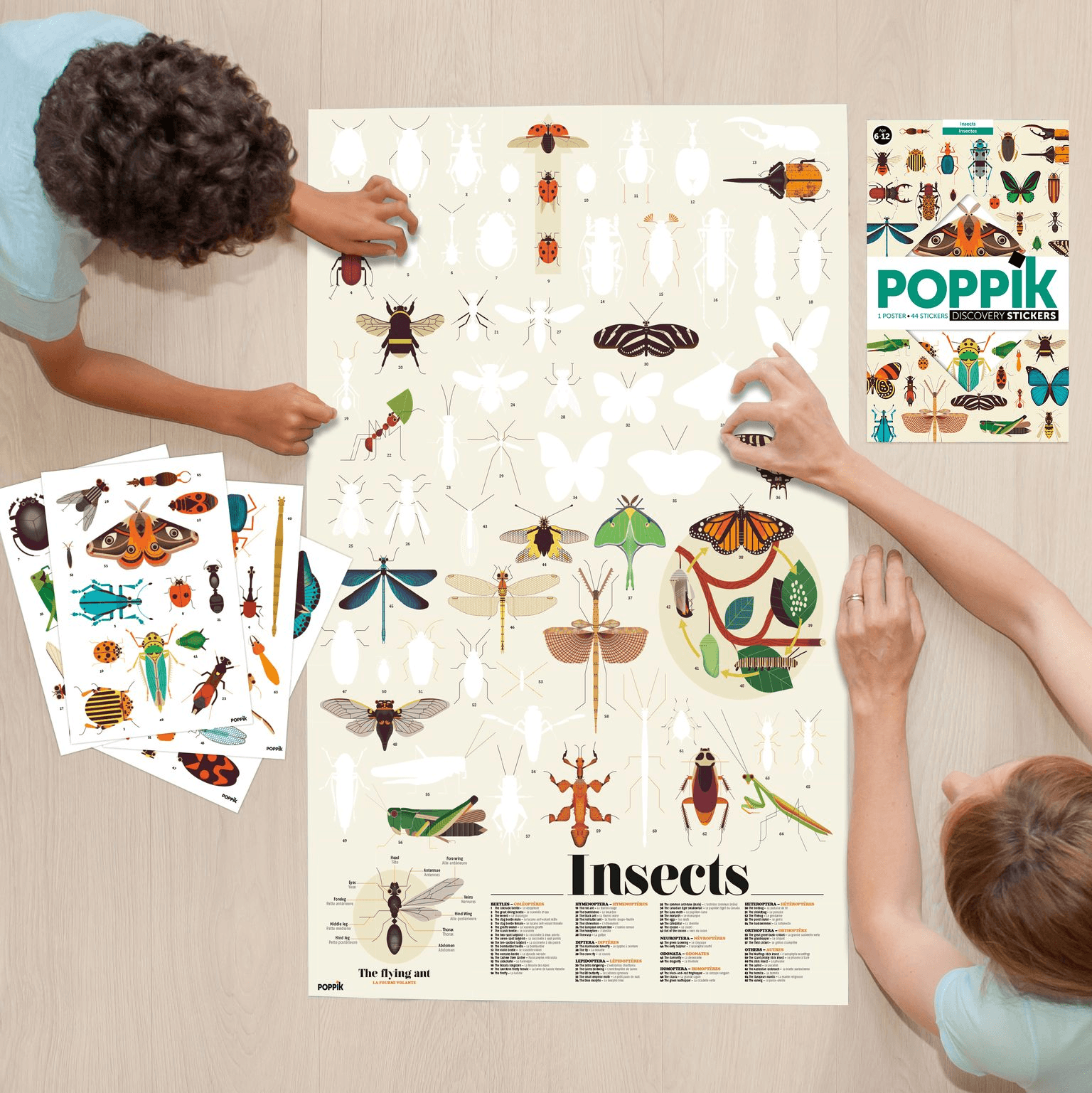 Discovery Sticker Poster: Insects - Haliburtons & Co.