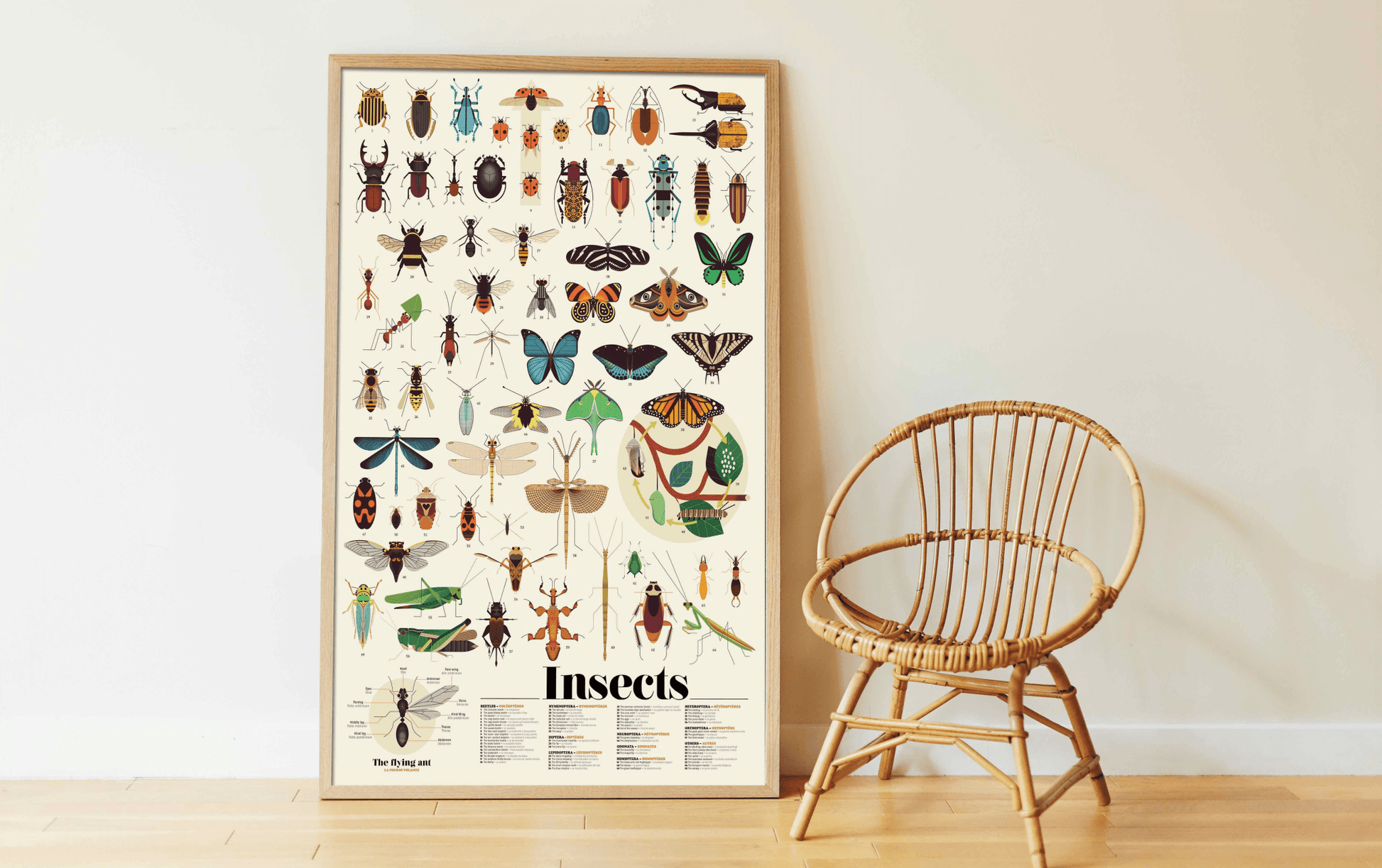 Discovery Sticker Poster: Insects - Haliburtons & Co.