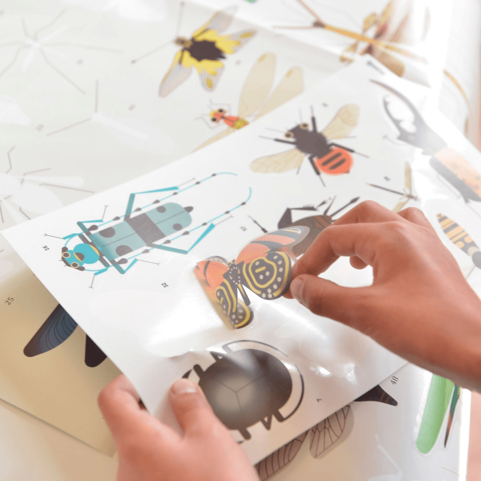 Discovery Sticker Poster: Insects - Haliburtons & Co.