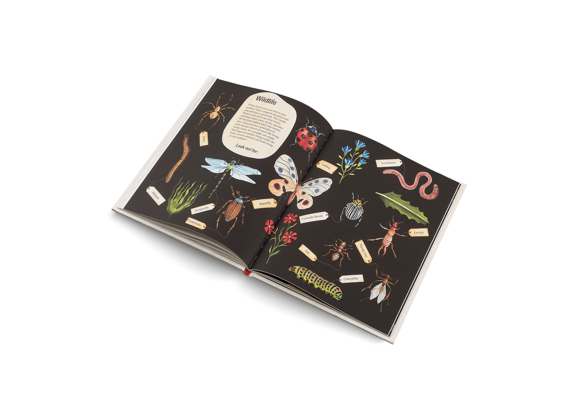 Easy Peasy: Gardening for Kids - Haliburtons & Co.