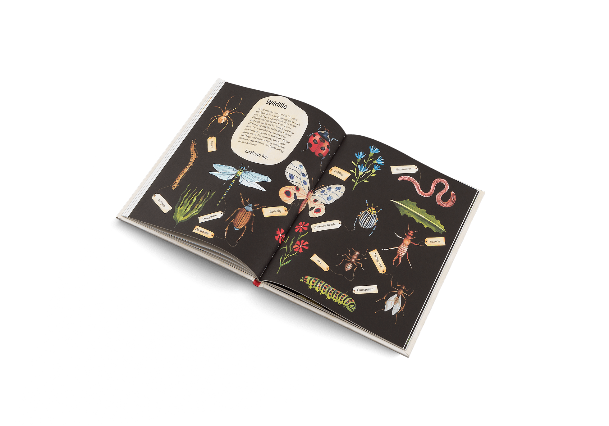 Easy Peasy: Gardening for Kids - Haliburtons & Co.